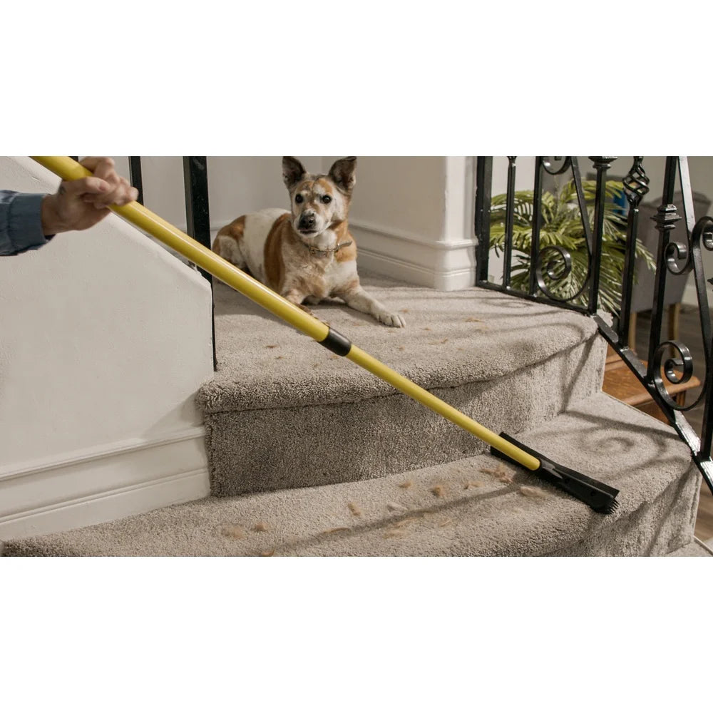 Telescopic Rubber Broom Pet Hair Remover with Squeegee Natural Bristles Carpets Rugs and Hardwood Floors Cleaning